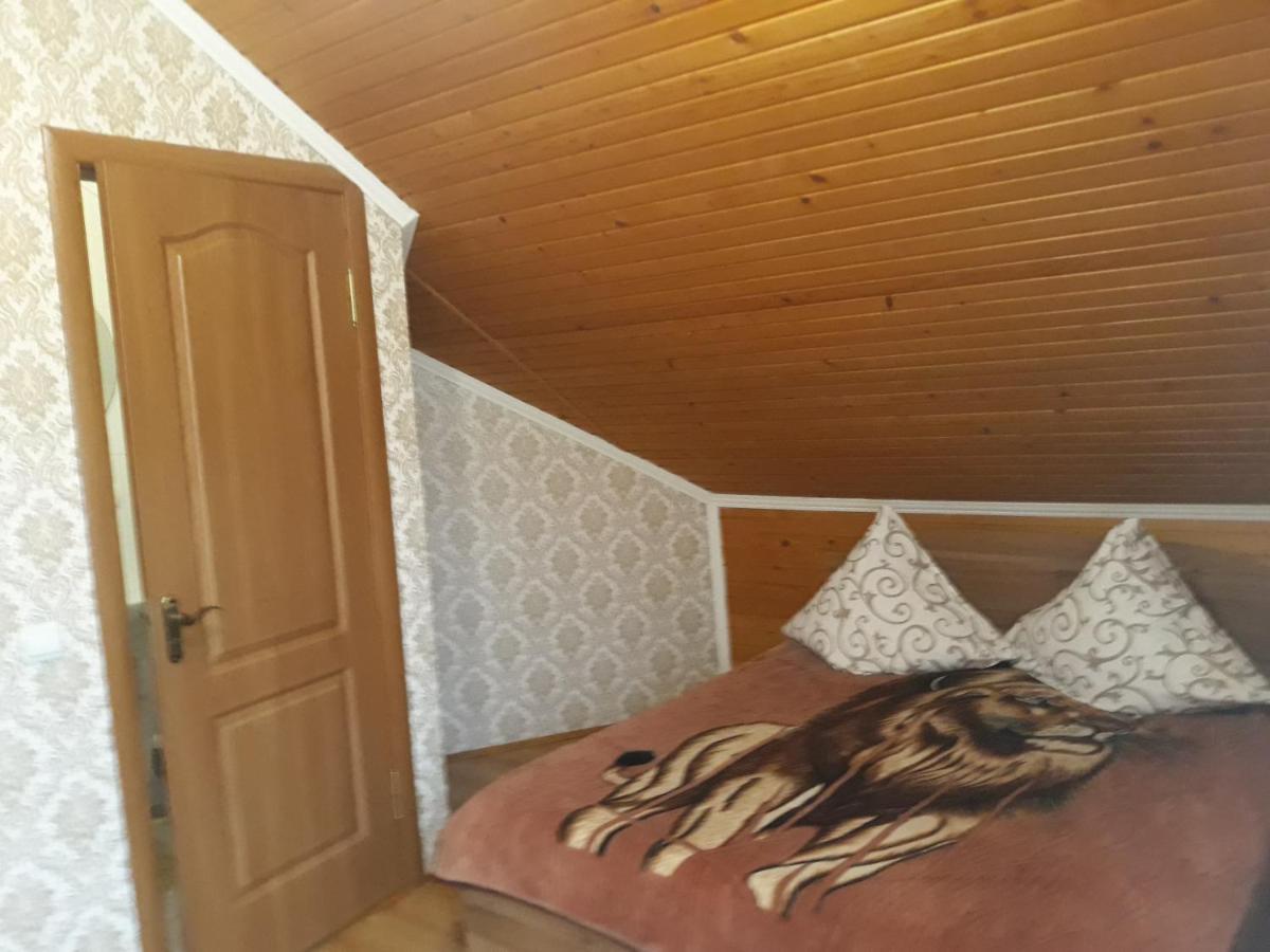 Над Вичов Volovăţ Exterior foto